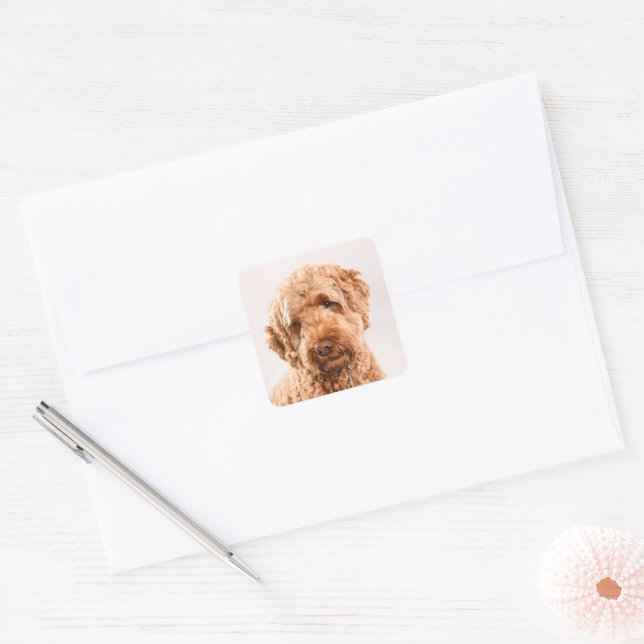 Adesivo Quadrado Retrato do Goldendoodle Studio (Envelope)