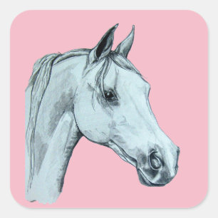 Adesivo Quadrado Retrato do Lápis do Cavalo Árabe em Fundo Rosa
