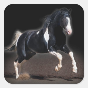 Adesivo Quadrado Retrato VIII de Cavalo