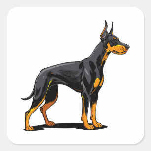 Adesivo Quadrado Retratos de um cão Doberman cabeça vista frontal