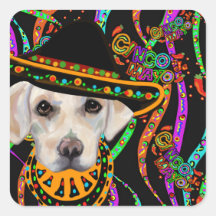 Retriever Labrador