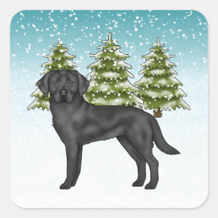 Adesivo Quadrado Retriever Labrador Preto Floresta de Inverno Nevad