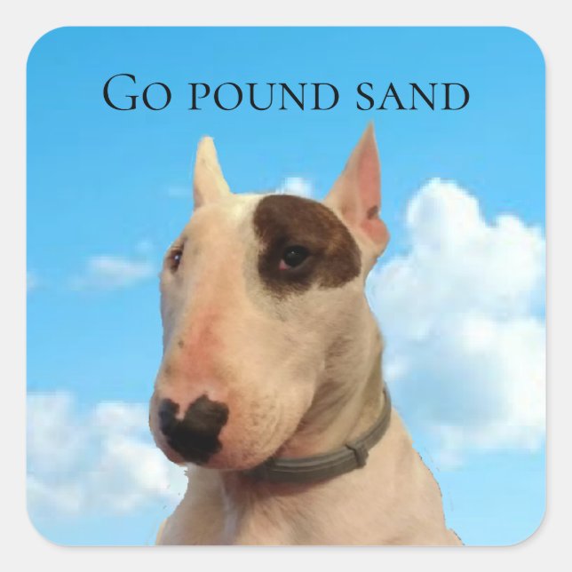Adesivo Quadrado Rex: TV Terrier Go Pound Sand Stickers (Frente)