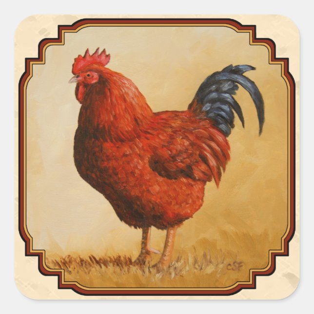 Adesivo Quadrado Rhode Island Red Chicken Beige (Frente)
