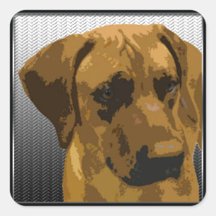 Adesivo Quadrado Rhodesian Ridgeback