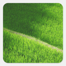 Adesivo Quadrado Rice Terraces Yamada's Rice Fields Japão