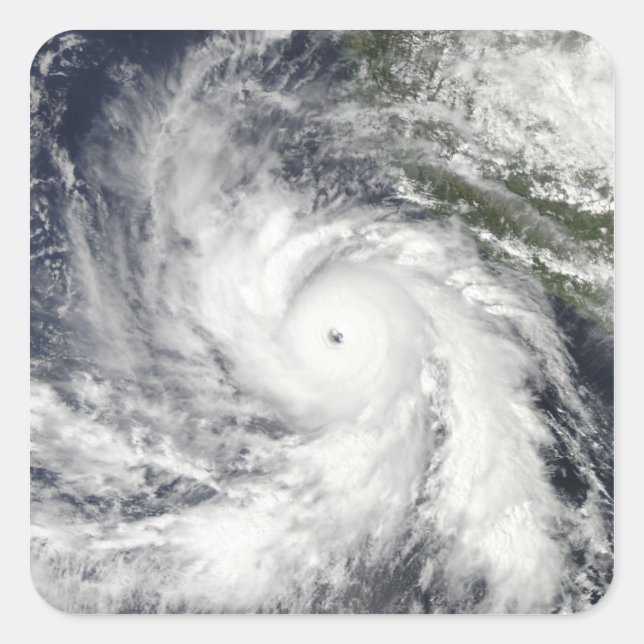 Adesivo Quadrado Rick do furacão (Frente)