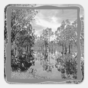 Adesivo Quadrado Rio Murray Black White Foto: Reflexo de Árvore de