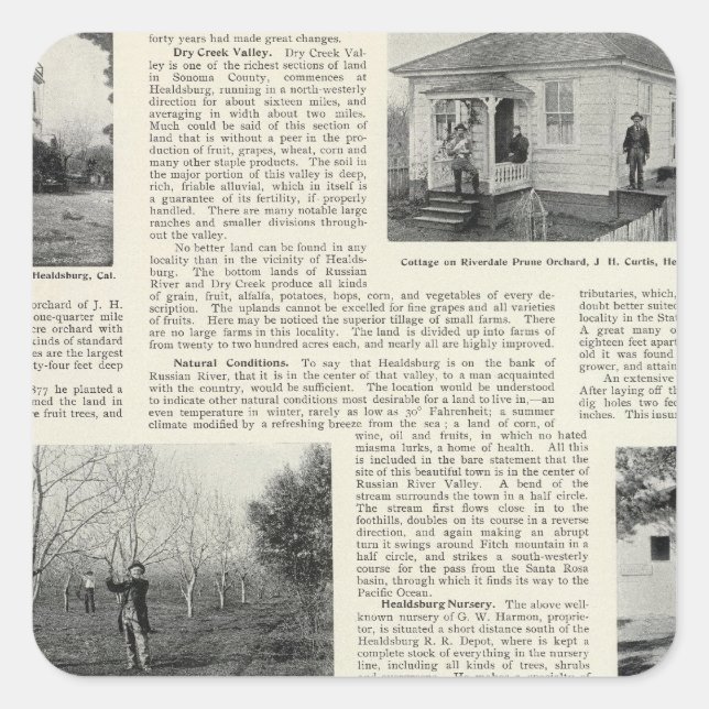 Adesivo Quadrado Riverdale Prune Orchard, Califórnia (Frente)