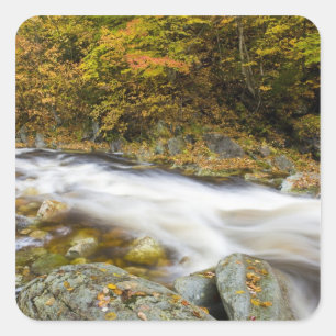 Adesivo Quadrado Roaring Brook no outono em Green Vermont