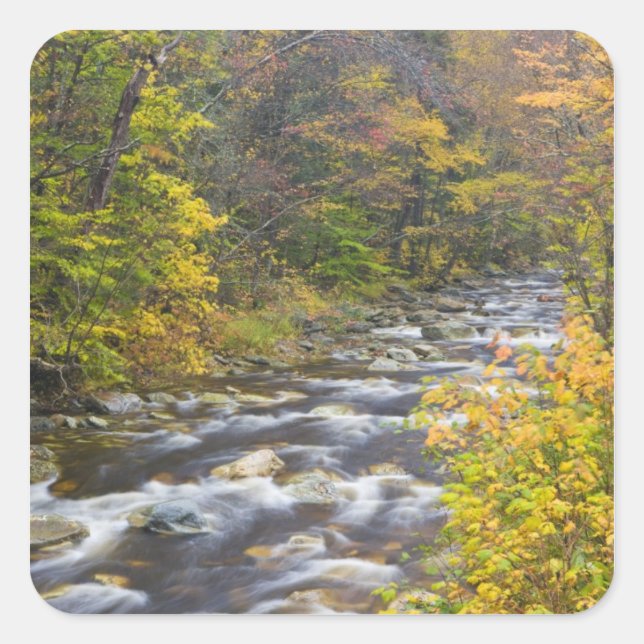 Adesivo Quadrado Roaring Brook no outono no Verde de Vermont 2 (Frente)