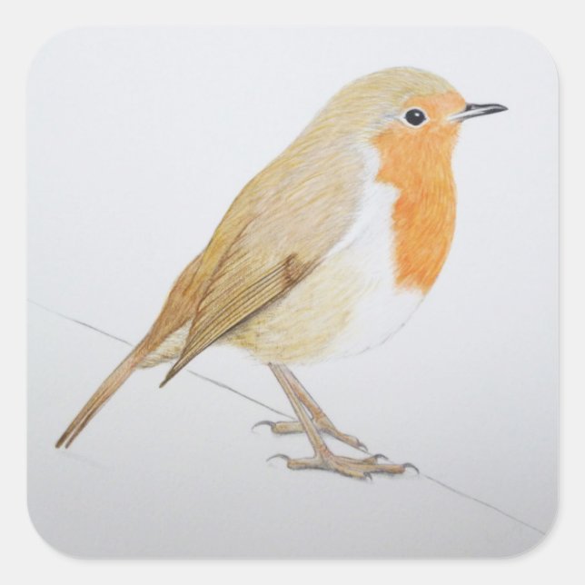 Adesivo Quadrado Robin 2011 (Frente)