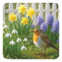 Robin num Jardim de Primavera