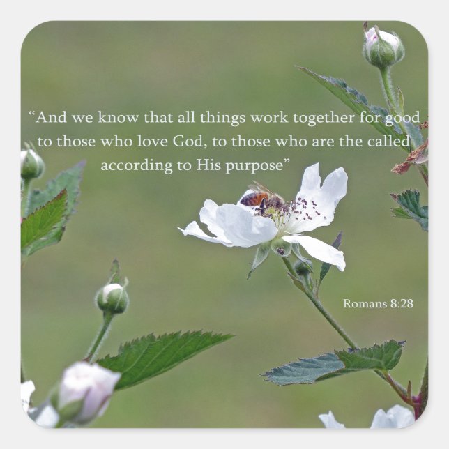 Adesivo Quadrado Romanos 8:28 (Frente)