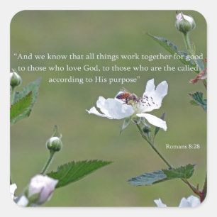 Adesivo Quadrado Romanos 8:28