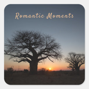 Adesivo Quadrado Romantic Moments Sunset Sacred Baobabs photo text