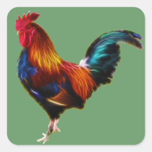 Adesivo Quadrado Rooster de Fractalius Leghorn
