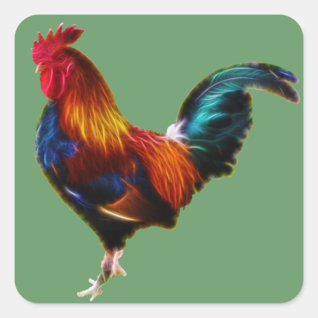 Adesivo Quadrado Rooster de Fractalius Leghorn (Frente)