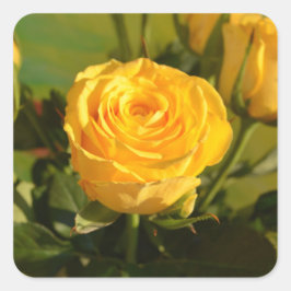 Adesivo Quadrado Rosa Amarela