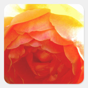 Adesivo Quadrado Rosa Amarela