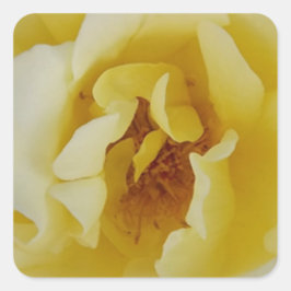 Adesivo Quadrado Rosa Amarela