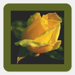 Adesivo Quadrado Rosa Amarelo Grande