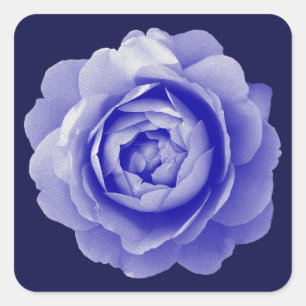 Adesivo Quadrado Rosa azul