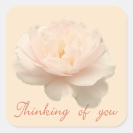 Adesivo Quadrado Rosa branca e rosa