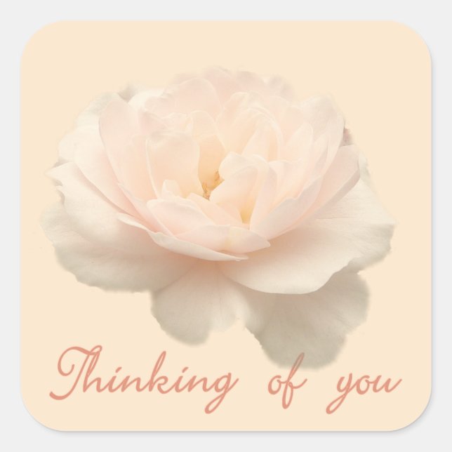 Adesivo Quadrado Rosa branca e rosa (Frente)