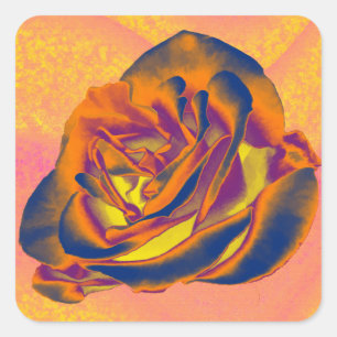 Adesivo Quadrado Rosa de cor laranja