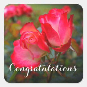 Adesivo Quadrado Rosa de Parfait de Cereja de parabéns nº 4-3