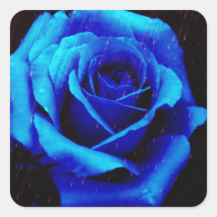Adesivo Quadrado Rosa dramático do azul