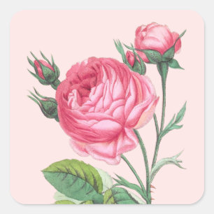 Adesivo Quadrado Rosa floral moderno pastel