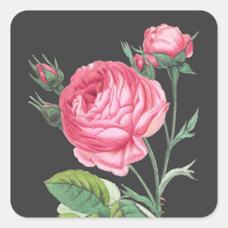 Adesivo Quadrado Rosa rosa floral moderno