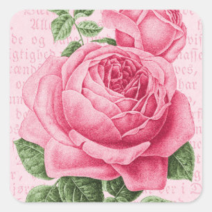Adesivo Quadrado Rosa rosa floral vintage
