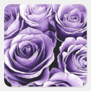 Adesivo Quadrado Rosa SUNSET PURPLE - Selo de Envelope de Casamento