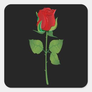 Adesivo Quadrado Rosa vermelha longa da haste
