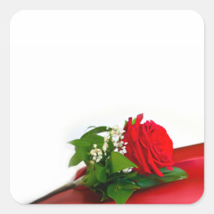 Adesivo Quadrado Rosa Vermelha Única – Fundo Branco Floral