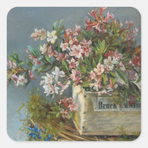 Rosas alpinos em uma janela - Andreas Lach