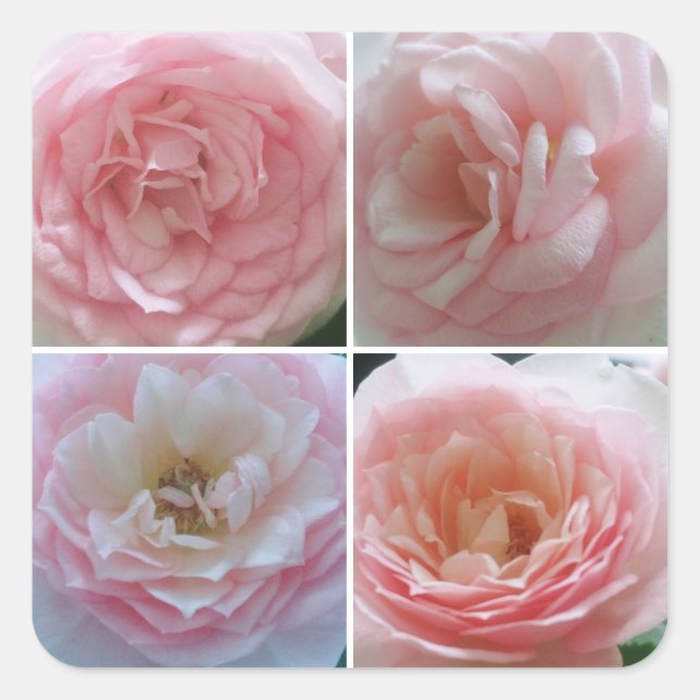 Adesivo Quadrado Rosas bonito (Frente)