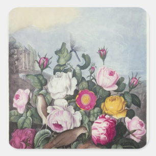 Adesivo Quadrado Rosas, 'do templo de Flora