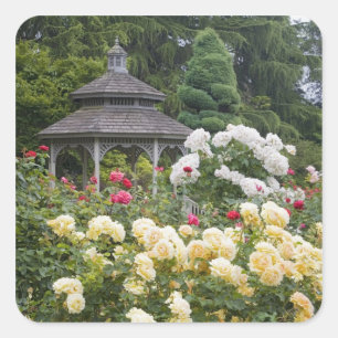 Adesivo Quadrado Rosas em flor e Rose Garden Gazebo no
