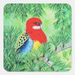 Adesivo Quadrado Rosella Bird Painting