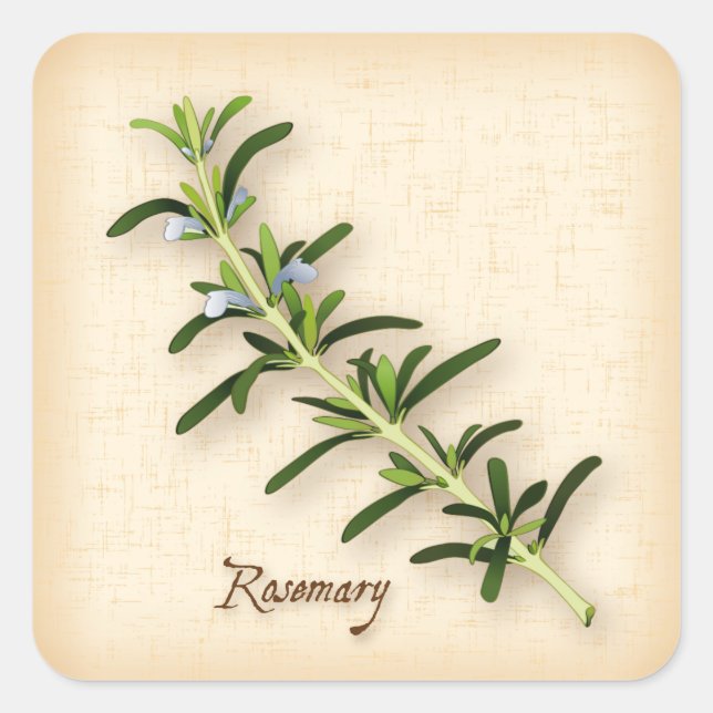 Adesivo Quadrado Rosemary Herb Square Sticker (Frente)