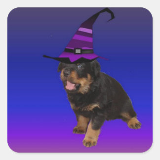 Adesivo Quadrado Rottie Witch