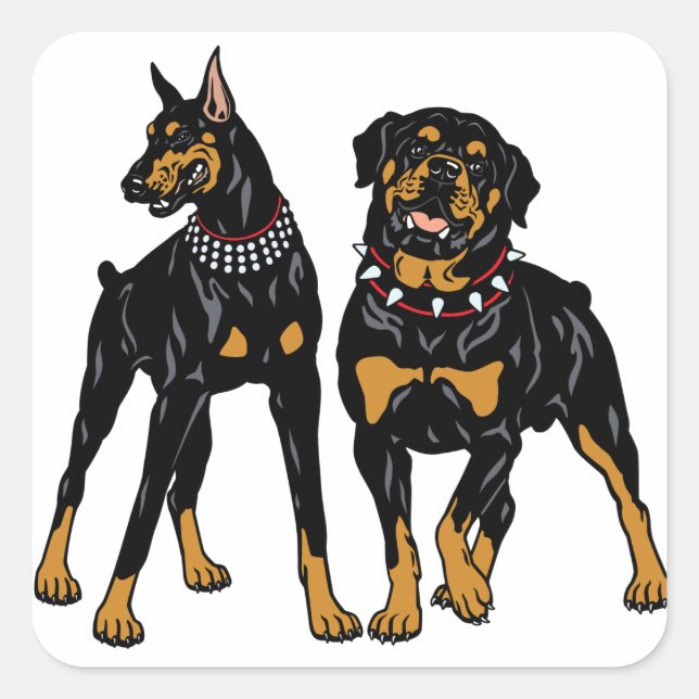 Adesivo Quadrado rottweiler e doberman (Frente)