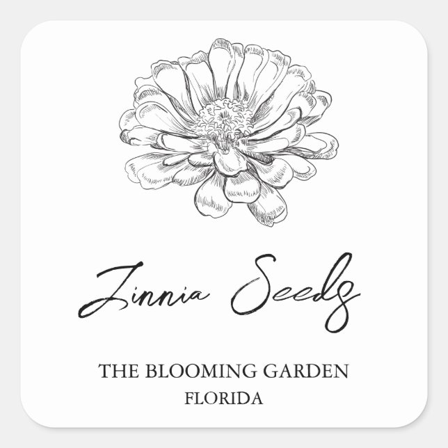 Adesivo Quadrado Rótulo das sementes da Zinnia (Frente)