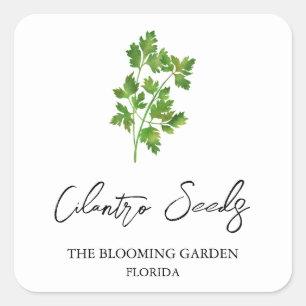 Adesivo Quadrado Rótulo das Sementes de Cilantro