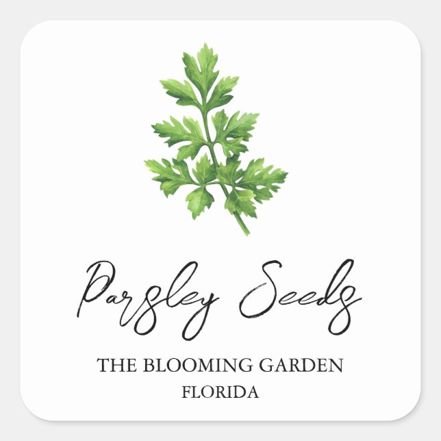Adesivo Quadrado Rótulo das sementes de salsa (Frente)