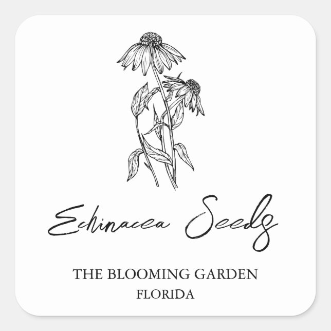 Adesivo Quadrado Rótulo das sementes Echinacea (Frente)